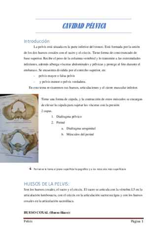 3-Cavidad-pelvica.pdf