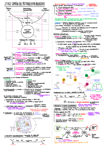 T2-2.pdf