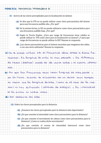 SEMBoletin3.pdf