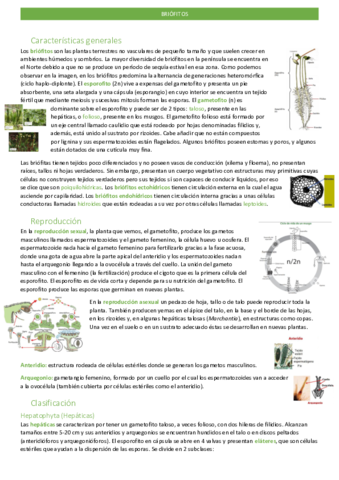 briofitos.pdf