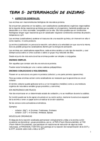 TEMA-5.pdf