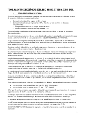 TEMA-6.pdf