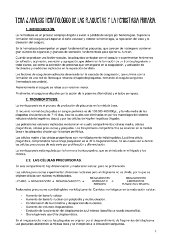 TEMA-6.pdf