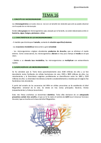 TEMA-16-Microbiologia-I-.pdf