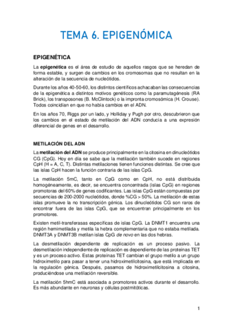TEMA-6.pdf