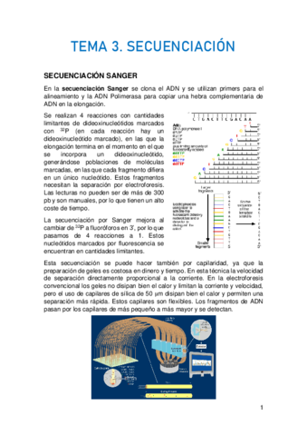 TEMA-3.pdf