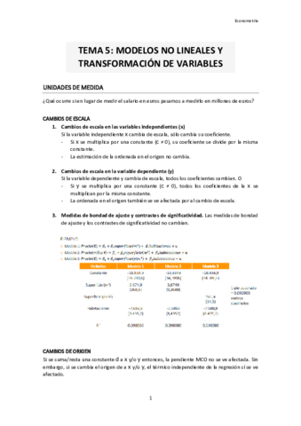 TEMA-5-ECONOMETRIA.pdf