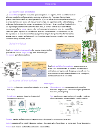 pteridofitos.pdf