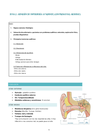 TEMA-2-AUDITIVO.pdf