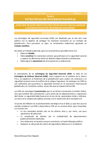 Tema-5-Estrategias-de-Seguridad-Nacional.pdf