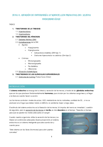 TEMA-4-ENDOCRINO.pdf