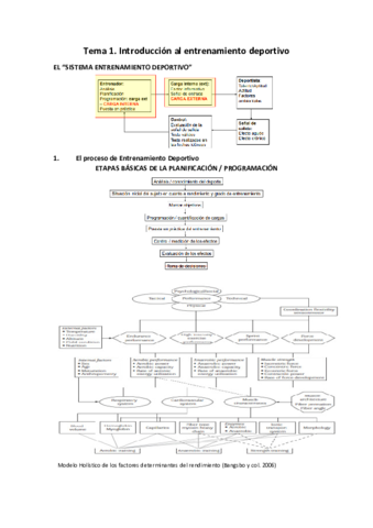 Tema-1.pdf