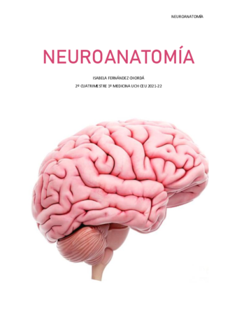 Neuroanatomia-belaferchorda.pdf