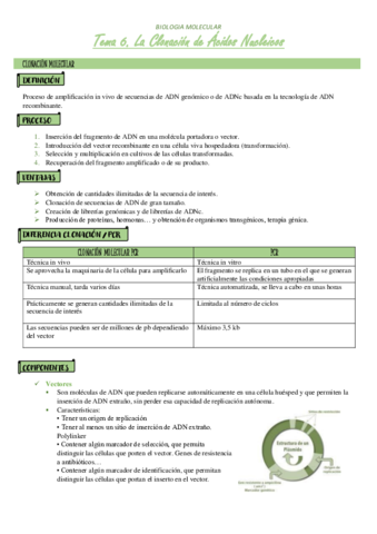 TEMA-6.pdf