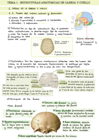 T1-Estudio.pdf