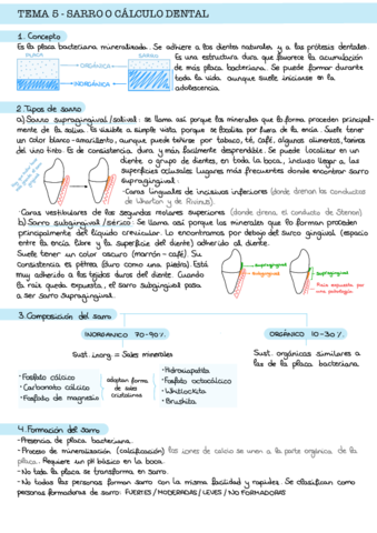 T5-Estudio.pdf