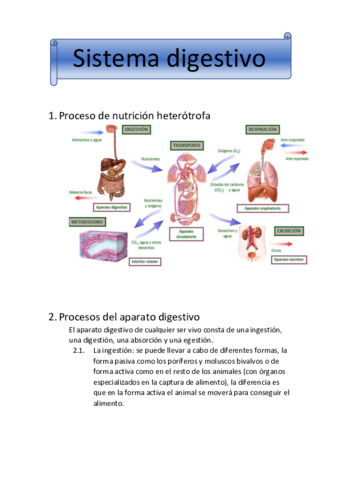 Sistema-digestivo.pdf