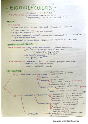Resumen-biomoleculas.pdf