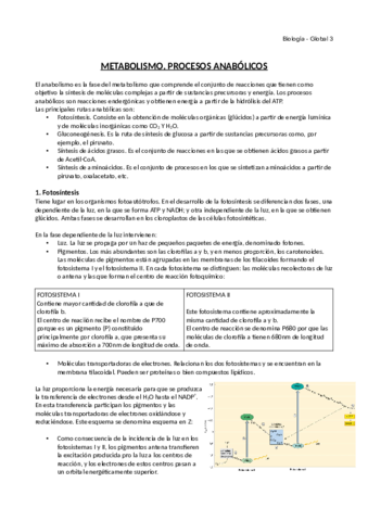 Metabolismo.pdf