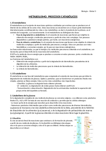 Metabolismo.pdf