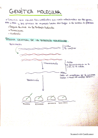 GENETICA-MOLECULAR.pdf