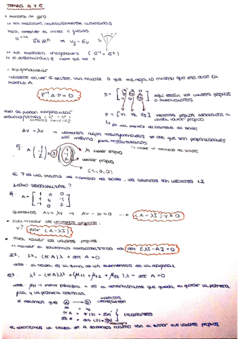 Apuntes-diagonalizacion.pdf