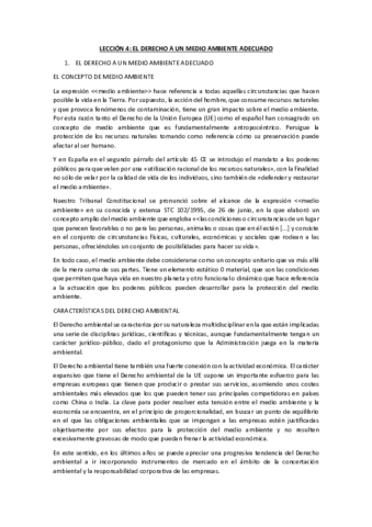 LECCION-4.pdf