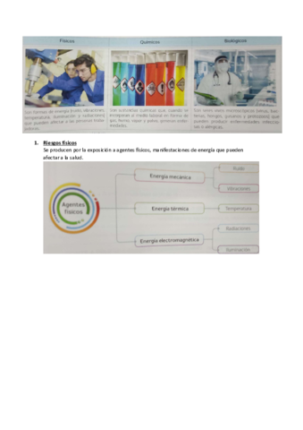 TEMA-12.pdf