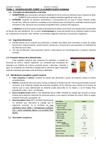 NUTRICION-NESTOR.pdf