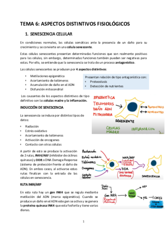 EB-6-ASPECTOS-FISIOLOGICOS.pdf
