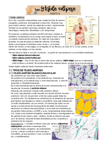 Tema 9 - Parte II.pdf