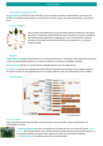 gimnospermas.pdf