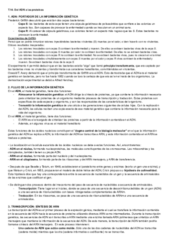 tema-14.pdf