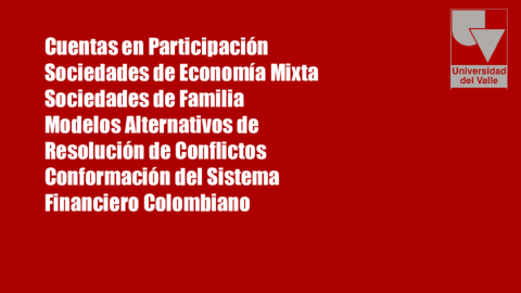 Cuentas-de-Participacion.pdf