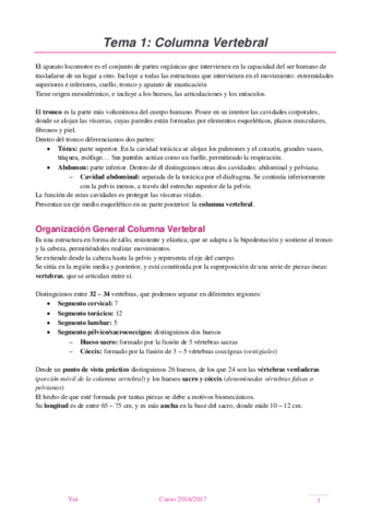 LocomotorResumenesSubir.pdf