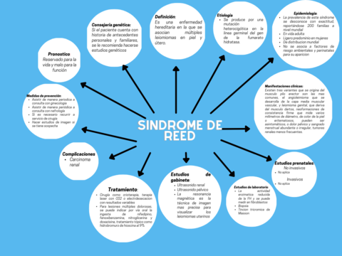 Sindrome-de-Reed.png