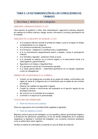 TEMA-3-DERECHO-DEL-T.pdf