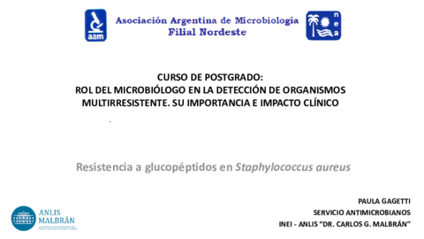 4-Clase-VISA-VRSA-Paula-Gagetti.pdf