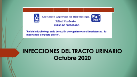 8-Clase-INFECCIONES-DEL-TRACTO-URINARIO-2020-Marina-Bottiglieri.pdf
