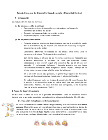Tema-2-Neuropsicologia.pdf