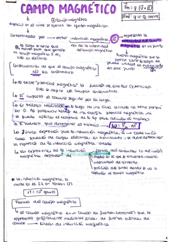Campo-magnetico-para-wuolah.pdf
