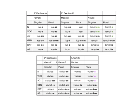 DECINACIONS I ADJECTIUS.pdf