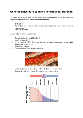 Tema-15a-Generalidades-de-la-sangre-y-fisiologia-del-eritrocito.pdf