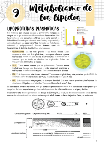 Tema-9.pdf