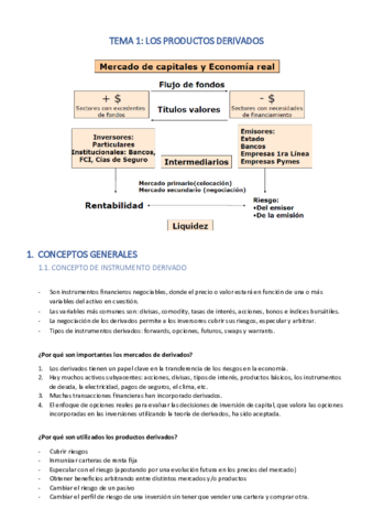 TEMA-1-PRODUCTOS-DERIVADOS.pdf