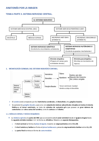 APLI-TEMA-6-PARTE-3.pdf