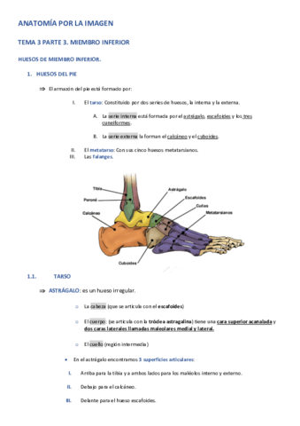 APLI-TEMA-3-PARTE-3-MIEMBRO-INFERIOR.pdf