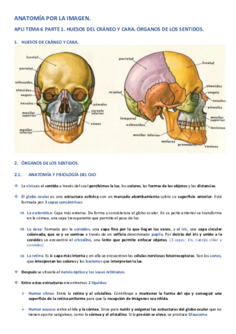APLI-TEMA-6-PARTE-1.pdf