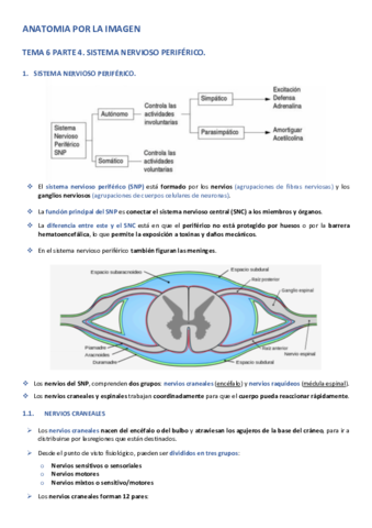 APLI-TEMA-6-PARTE-4.pdf