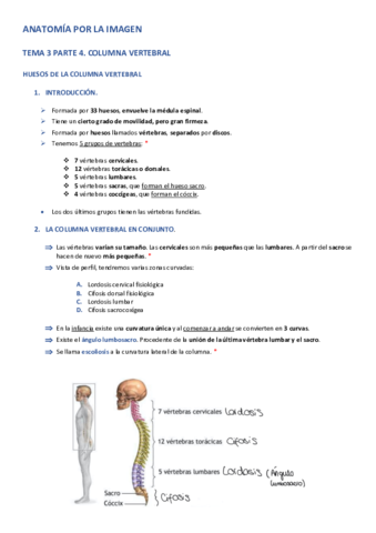 APLI-TEMA-3-PARTE-4.pdf